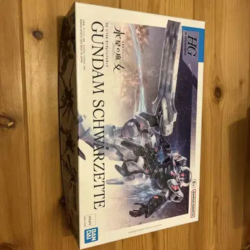 HG GUNDAM SCHWARZETTE