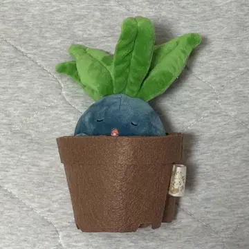 포켓몬스터 Grassy Gardening 나조노쿠사 봉제 인형
