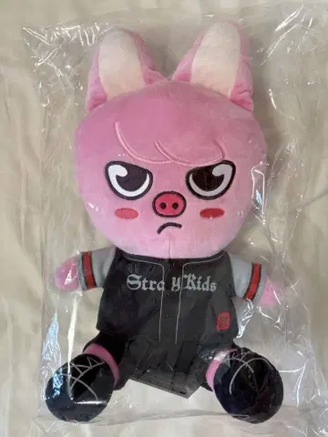 SKZOO DWAEKKI 봉제 인형 Stadium 에코파 창빈