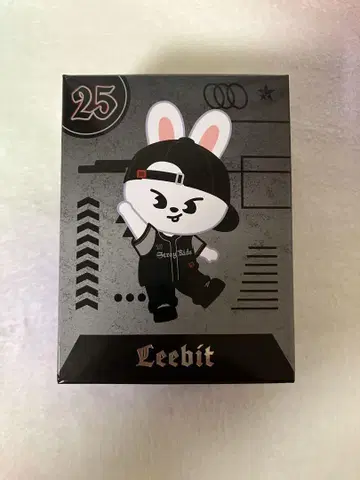 StrayKids 리노 dominATE 에코파 Leebit 피규어