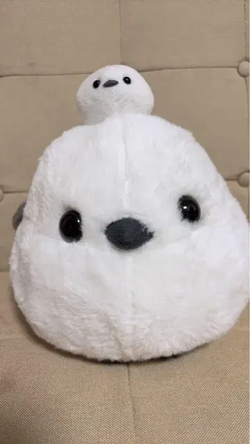 시마짱 오야코 블루