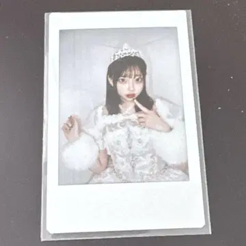 사쿠라바 하루카 생탄 폴라로이드 빙고