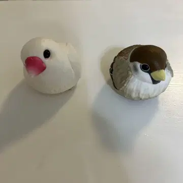 프렌즈 참새 문조