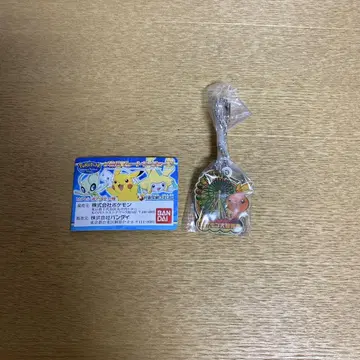 포케파크 키링 아차모