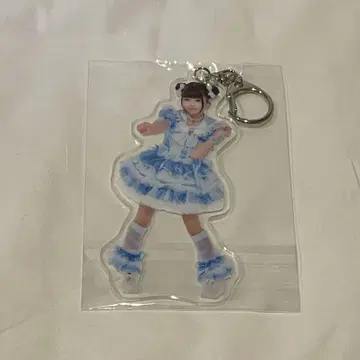 iLife 무지개깃털 실사 아크릴 키링 무도관 가라폰 D상