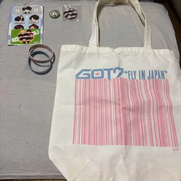 갓세븐 GOT7 fly in japan 굿즈 백