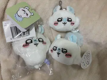 치이카와 모몽가 3개 세트 익명 배송