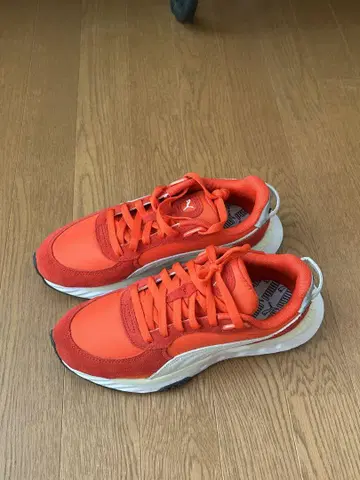 PUMA Wild Rider Pickup [ G ] .