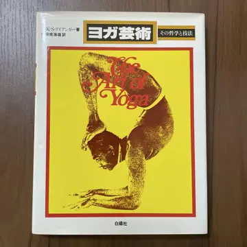 요가 예술 그 철학과 기법 B K S 아이언가 저 고토 남해웅 역