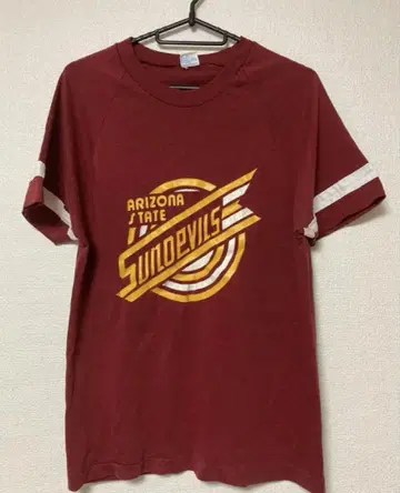 Champion T셔츠 1970s USA제 챔피온 바터