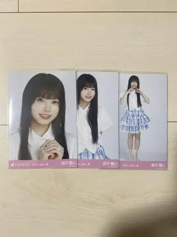 모리히라 레이신 프릴 미니 스커트 브로마이드 컴프