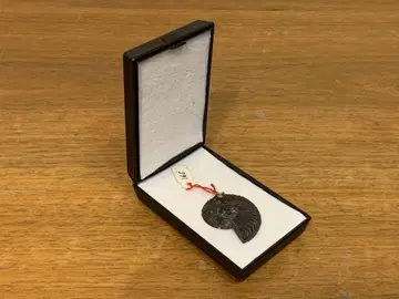 G0828-01 프랑스 암모나이트 모양 화석 목걸이