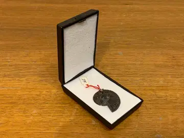 G0828-01 프랑스 암모나이트 모양 화석 목걸이