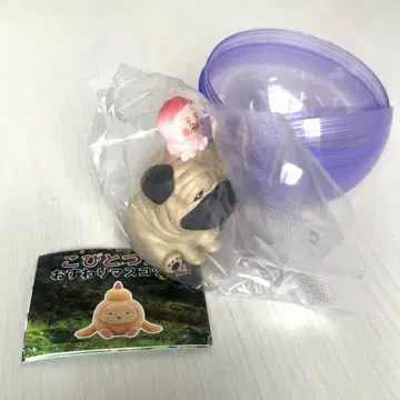 코비토즈칸 앉아있는 마스코트 시크릿