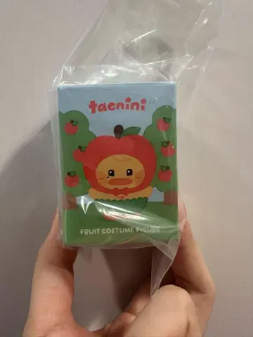 제베원 zb1 zeroni 제로니 테니니 김태래 피규어