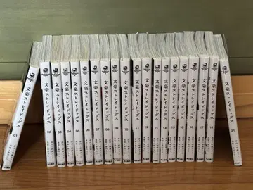 문호 스트레이독스 1~19, 21권 세트