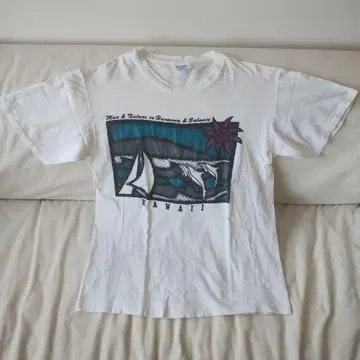 Hanes T셔츠 HAWAII