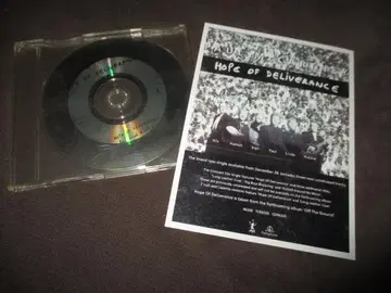 paul mccartney hope of deliverance RARE