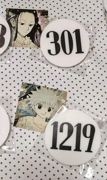 HUNTER x HUNTER 토가시전 번호판 이르미 키루아