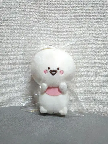 오분구상 바분구상 마스코트 택 포함