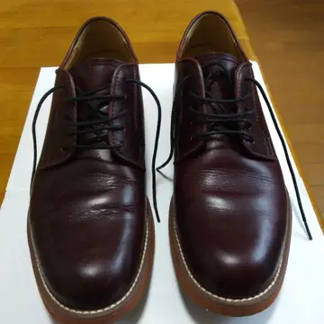 26cm (REGAL)