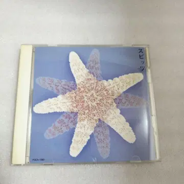 스피츠 스피츠