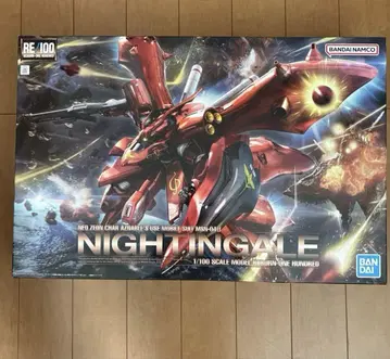 RE/100 1/100 나이팅게일