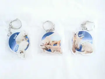 야기야마 동물원 북극곰 아크릴 키링 3개 세트