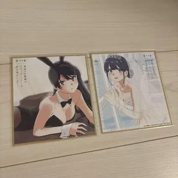 청춘 돼지 전시회 색지 2종 세트