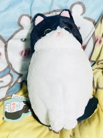 하치와레 고양이 모리 봉제 인형