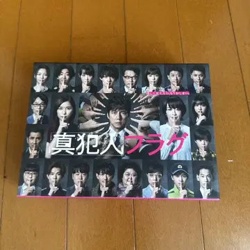 진범 플래그 DVD