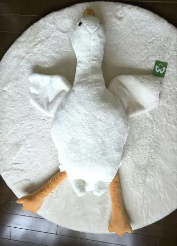 MEGA 오리 봉제 인형