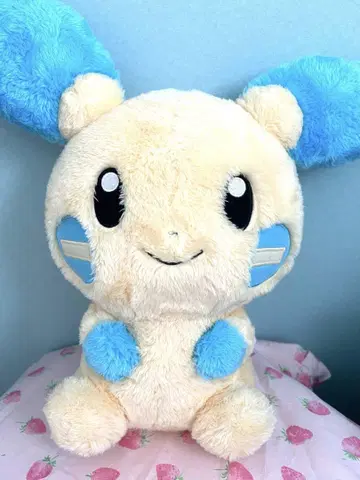 *포켓몬 마이농 봉제 인형