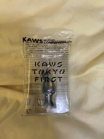 KAWS 키링