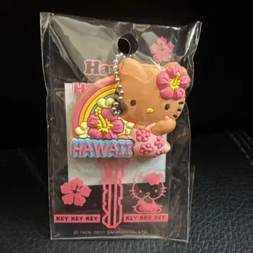 하와이 일광화상 키티 키케이스 키링 미개봉 새상품 산리오 키티