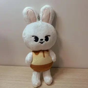 Stray Kids 리비트  푸딩