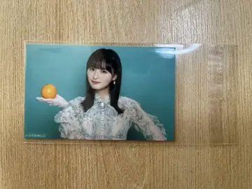 네이블 오렌지 엔도 사쿠라 미니 브로마이드
