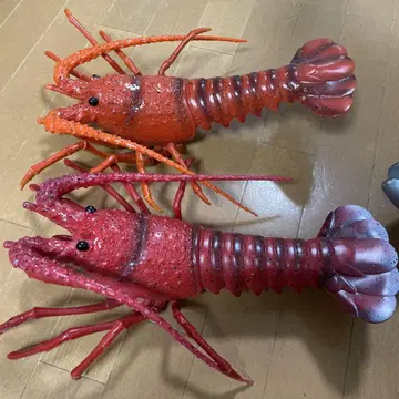 이세에비와 참치 인형