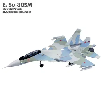 E Su-30SM 러시아 항공우주군 제22전투기연대 플랭커 패밀리 2