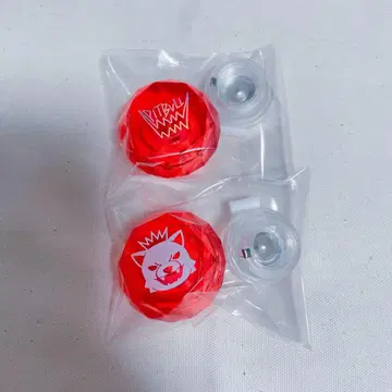 파라라이 료가 정리