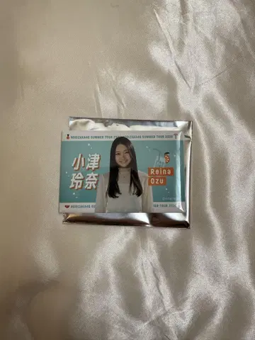 오즈 레이나 캔배치