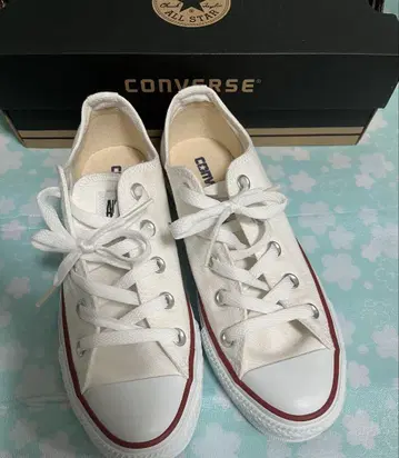 컨버스 캔버스 올스타 OX 23cm