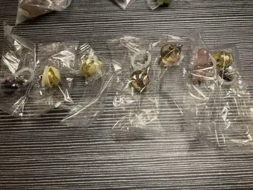 콩시바 표식 액세서리 세트