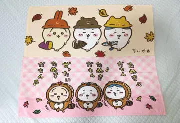 치이카와 (먼작귀) 가을의 먹거리 타누키다몬 페이스 타월 세트 미사용