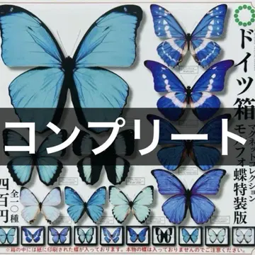 독일 상자 마그넷 컬렉션 모르포 나비 특장판 컴플리트