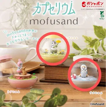 모프 샌드 mofusand 가챠 카프세리움