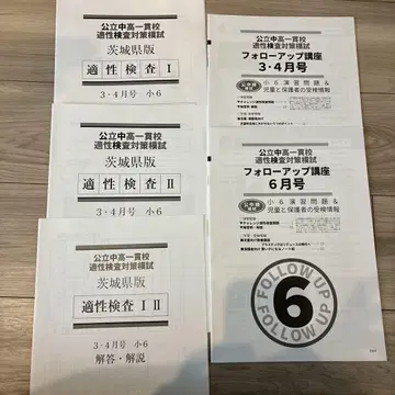 적성 검사 I II + 팔로우 업 강좌