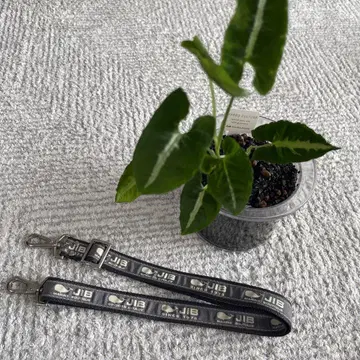JIB 숄더 벨트 그레이 25mm 폭 / 메탈 부품 / 로고 있음