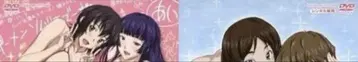 애니메이션 DVD 상사상애 노트 THE ANIMATION 전 2권 세트