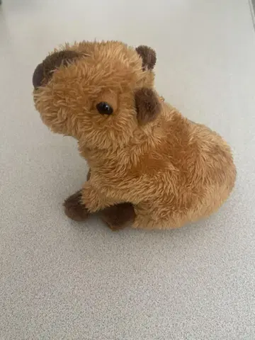 카피바라 봉제 인형